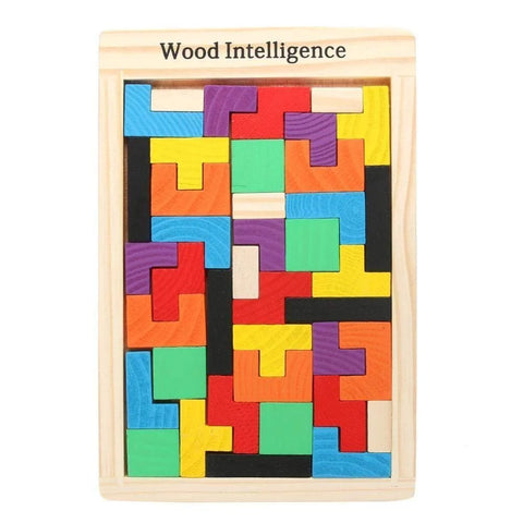 Wooden Intelligence Puzzle